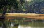 0394- fietsen Sukhothai Historical Park